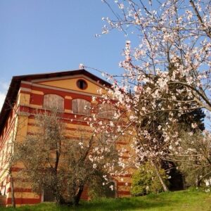 Fattoria_Il_Capitano_Vista_Con_Fiori